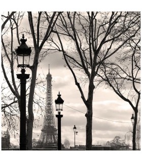 Photo de La Tour Eiffel, Trocadéro par Kasra