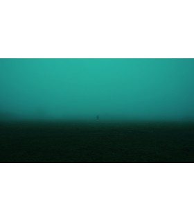 Brouillard Ecran par Armelle Sèvre