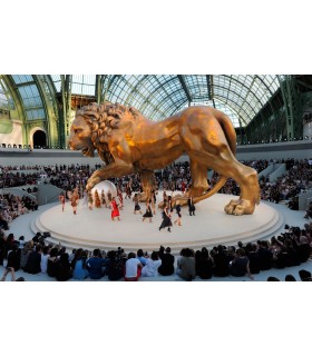 Chanel Show, Grand Palais by Jacques Bénaroch